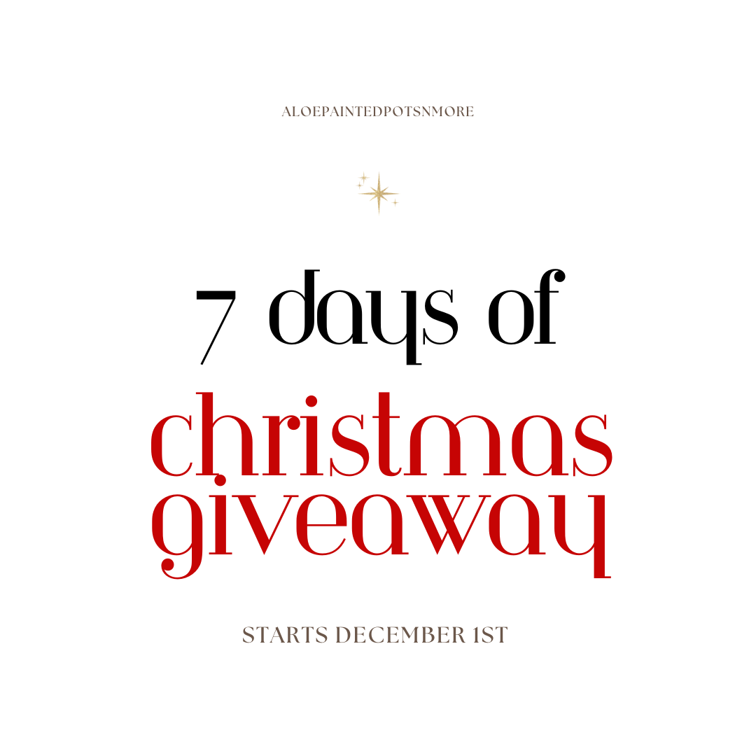 Christmas Giveaway: 7 Days of Giving