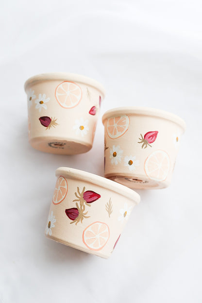Fruity & Floral Pots | Hand Painted Terracotta Pot | Drainage Hole | No Saucer | Ready to Ship