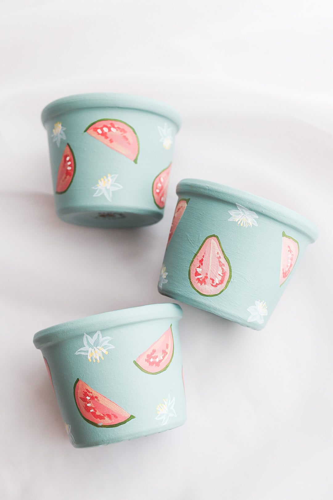 Fruity & Floral Pots | Hand Painted Terracotta Pot | Drainage Hole | No Saucer | Ready to Ship