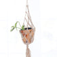 Standard Macrame Plant Hanger for 4 inch Pots | Plant Hanger
