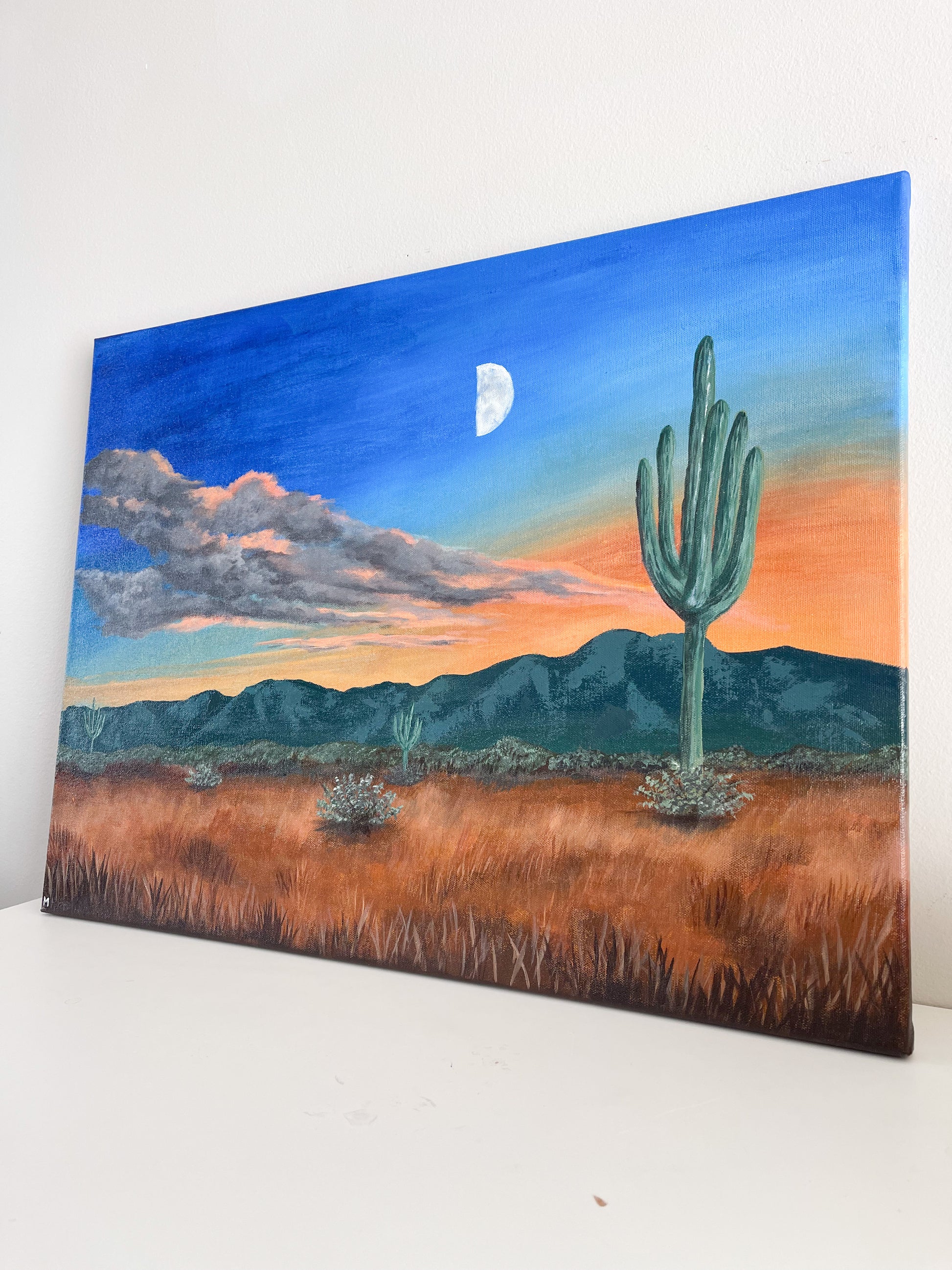 Arizona Sky Desert Cactus Landscape Acrylic Artwork on 18x24
