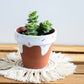 Ready to Ship | Ice Cream Pot | Hand Painted Terracotta Pot with Drainage Hole
