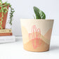 Boho Cacti Pot | Hand Painted Terracotta Pot with Drainage Hole | Saucers available only for tapered pots