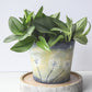 Dandelion Dream Pot | Hand Painted Terracotta Pot with Drainage Hole | Saucer available only for tapered pots