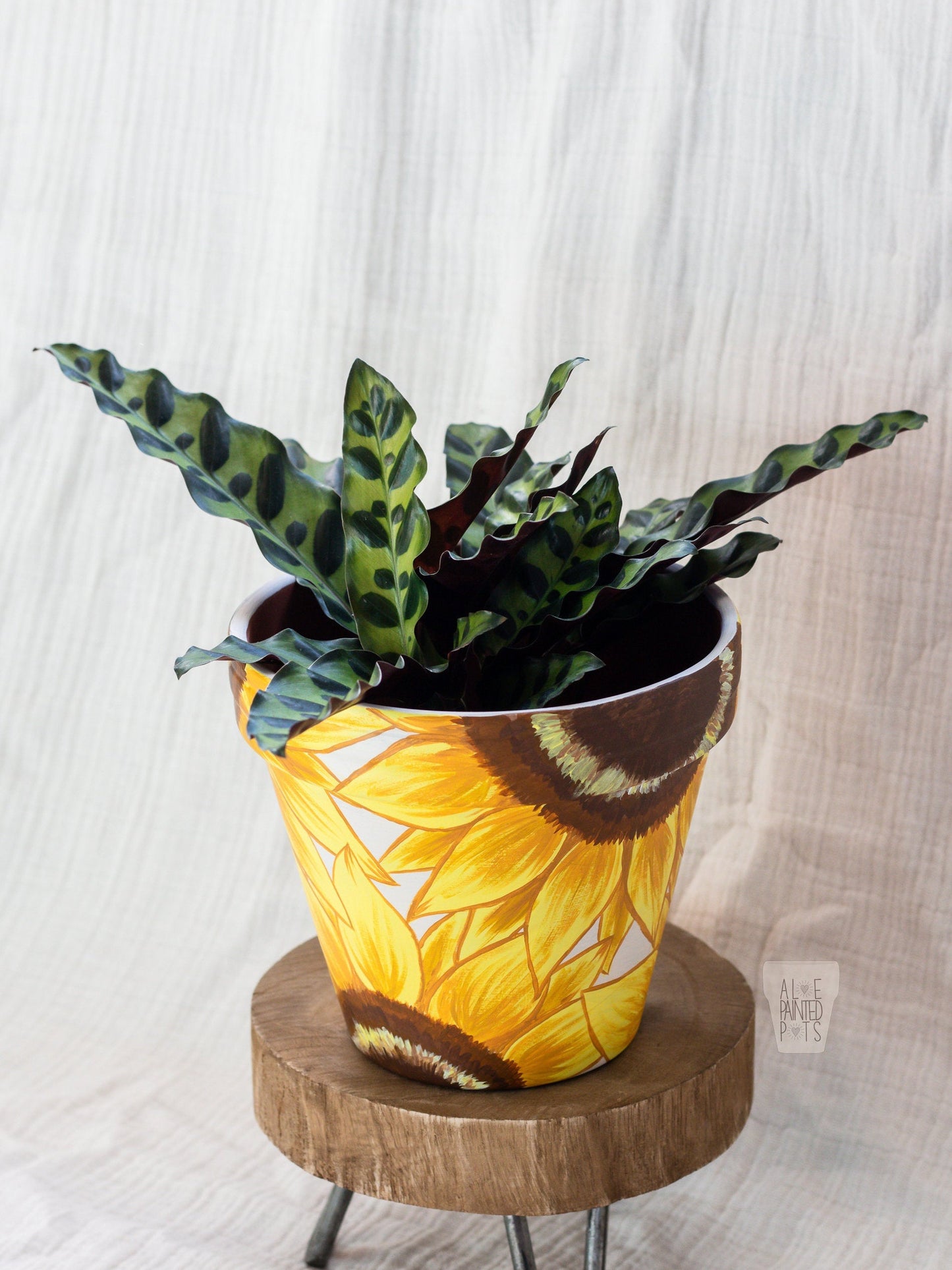 Sunflower Pot | Hand Painted Terracotta Pot with Drainage Hole | Saucers available only for tapered pots