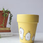 The Happy Pot | Hand Painted Terracotta Pot with Drainage Hole | Saucers available only for tapered pots