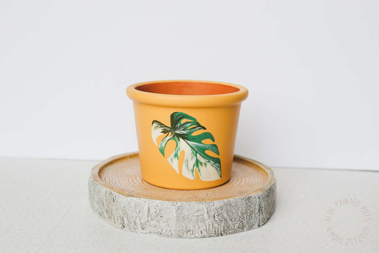 Buttery Variegated Monsteras Pots | Hand Painted Terracotta Pot with Drainage Hole | Ready to Ship