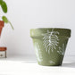 Lush Green Botanical Pot | Hand Painted Terracotta Pot with Drainage Hole | Saucers available only for tapered pots