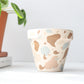 Terrazzo Pot | Hand Painted Terracotta Pot with Drainage Hole | Saucers available only for tapered pots