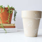 Light Beige Monstera Leaf Pot | Hand Painted Terracotta Pot with Drainage Hole | Saucers available only for tapered pots
