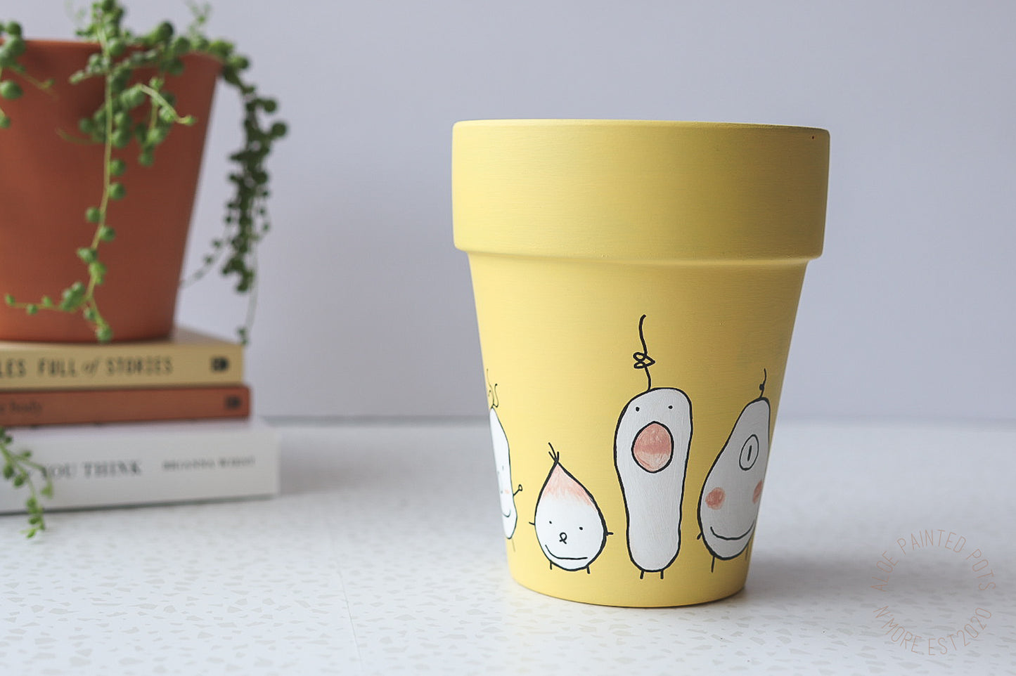 The Happy Pot | Hand Painted Terracotta Pot with Drainage Hole | Saucers available only for tapered pots