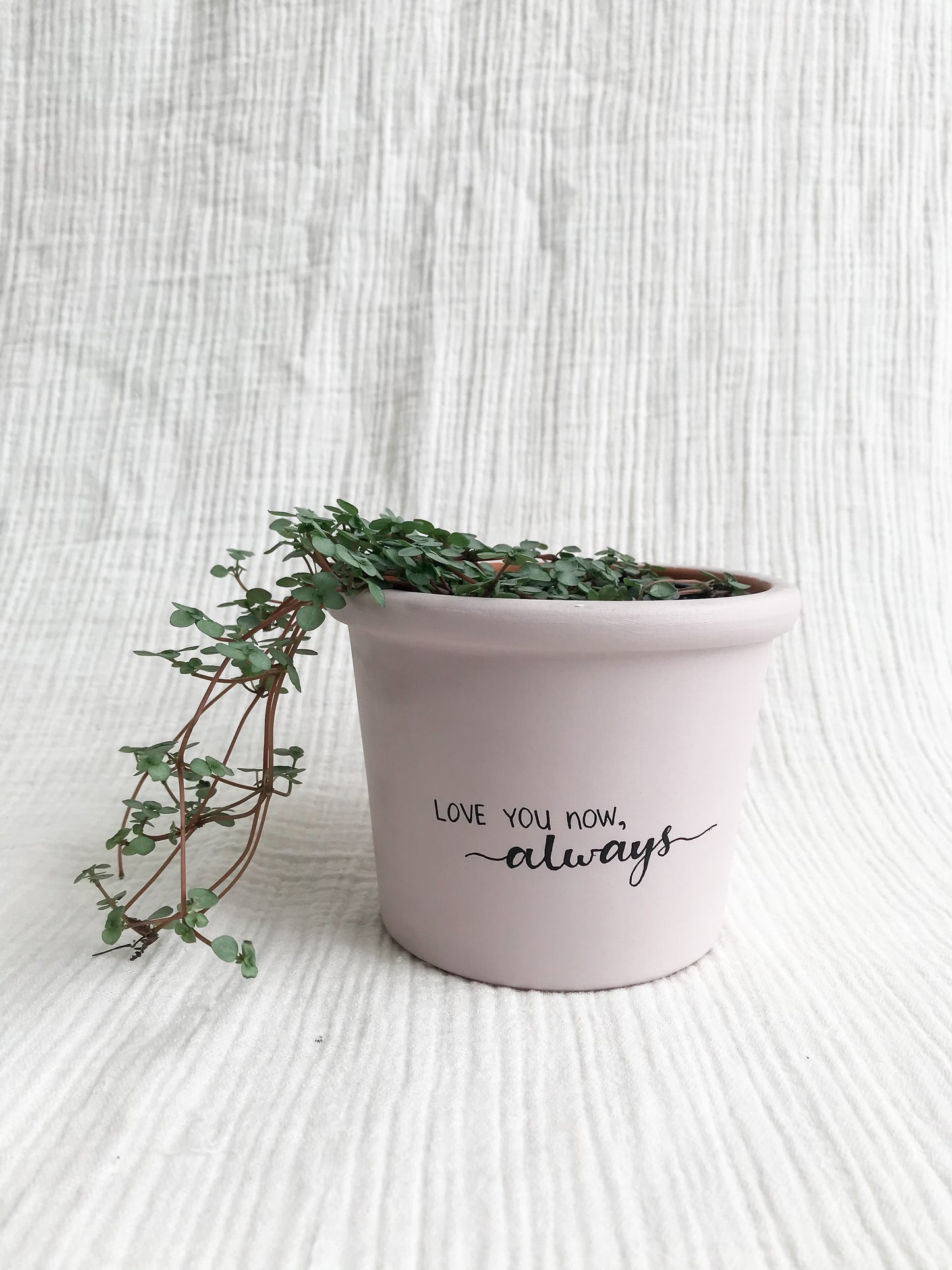 Love you now and always | Hand Painted Terracotta Pot with Drainage Hole | Ready to Ship